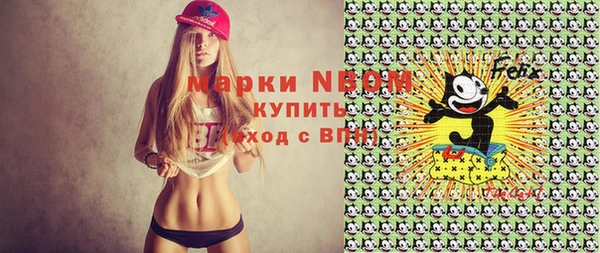 индика Пересвет