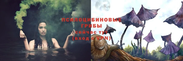 прущая мука Алзамай