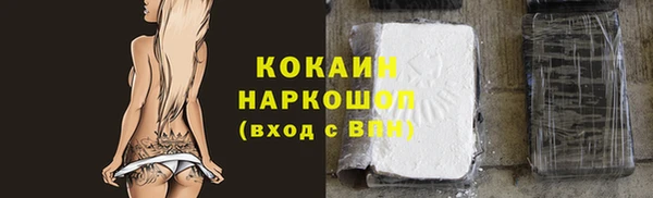 индика Абаза