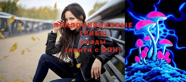 индика Абаза