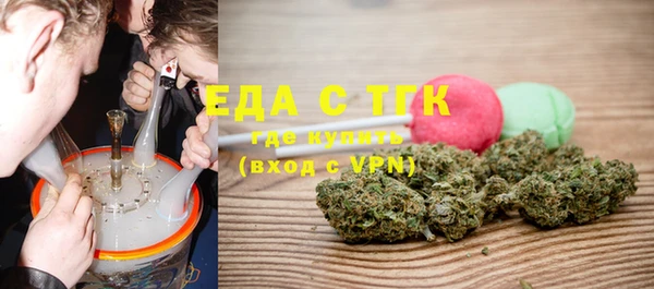 индика Абаза