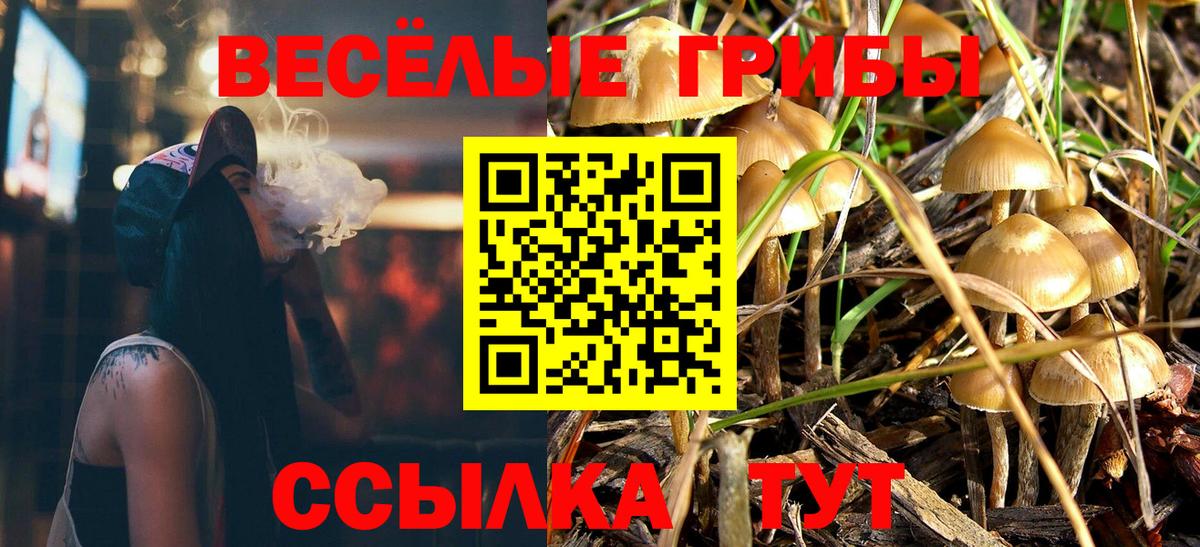 Галлюциногенные грибы Cubensis  наркотики  Туапсе  Вход с VPN 