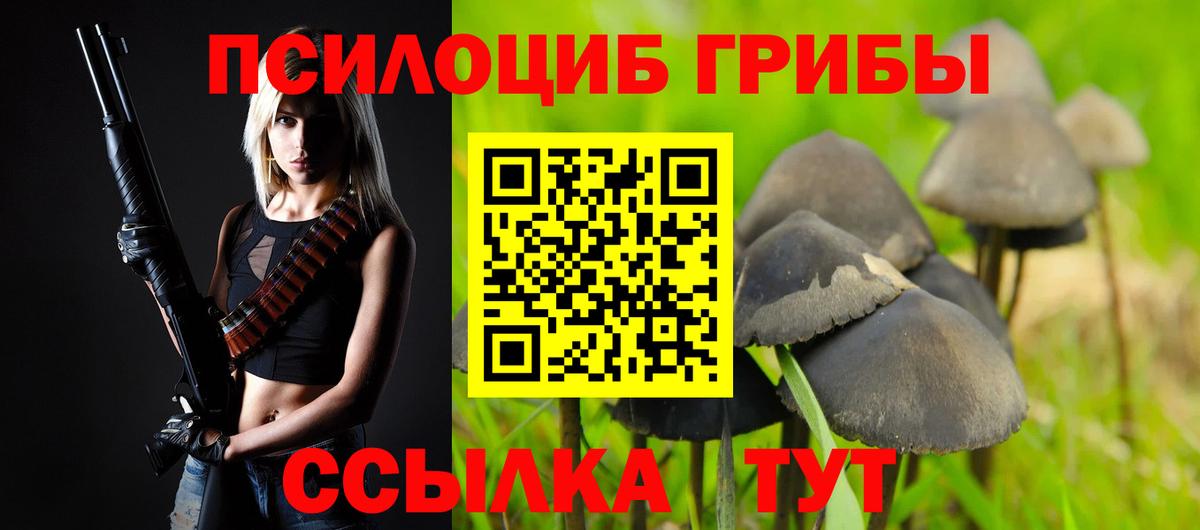 Псилоцибиновые грибы Psilocybine cubensis Туапсе